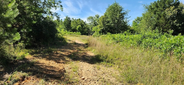 0 Aaron Ln, Nunnelly, TN 37137