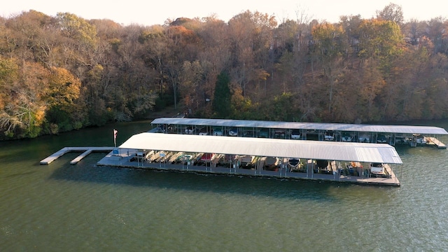 231 Green Harbor Rd Unit 59, Old Hickory, TN 37138 - dock with a view of trees and a water view