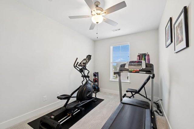 3206 Sassafras Ln, Thompsons Station, TN 37179 - photo 45