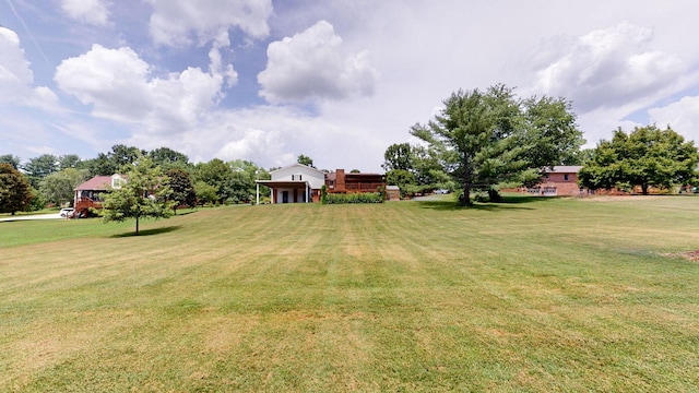 1335 Chippendale Cir, Columbia, TN 38401 - view of grassy yard