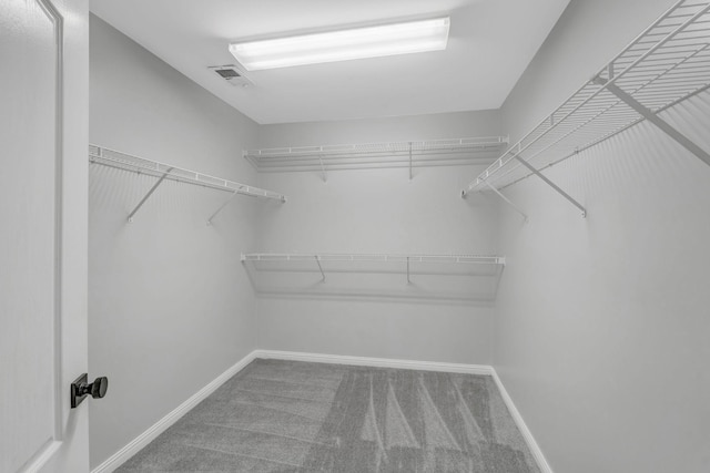 2910 Churchill Ln, Thompsons Station, TN 37179 - spacious closet with carpet floors