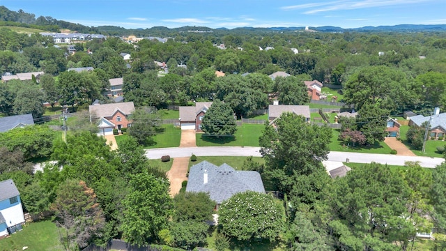 2910 Churchill Ln, Thompsons Station, TN 37179 - bird's eye view