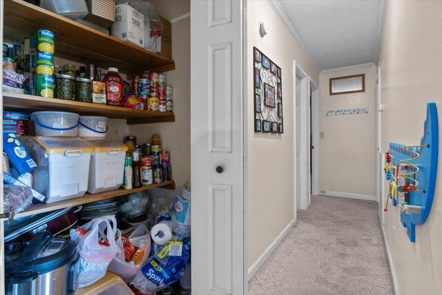 169 Oak Crest Dr, Tennessee Ridge, TN 37178 - photo 16