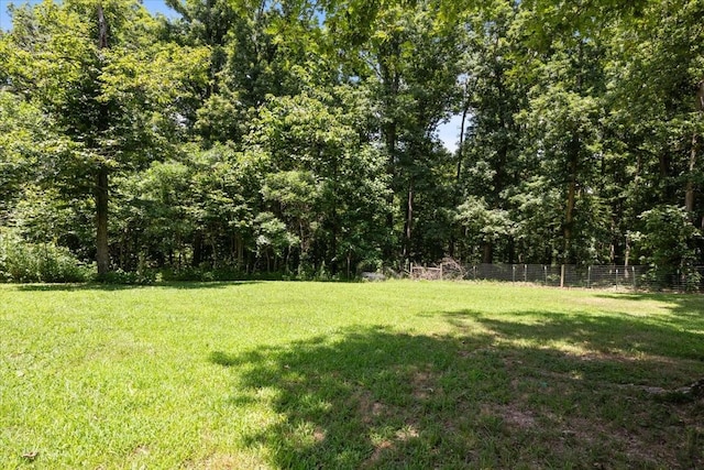 169 Oak Crest Dr, Tennessee Ridge, TN 37178 - photo 37