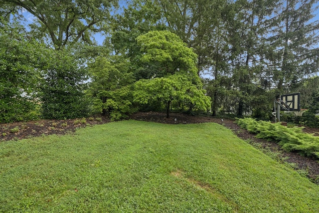 114 Dunham Springs Ln, Nashville, TN 37205 - photo 80