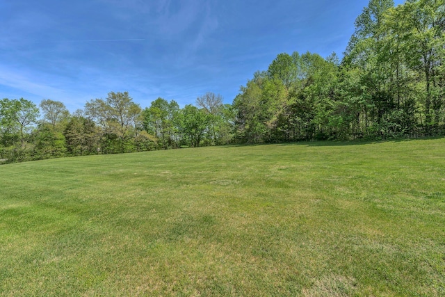 2600 Little Bartons Creek Rd, Cumberland Furnace, TN 37051 - view of grassy yard