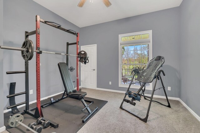 2600 Little Bartons Creek Rd, Cumberland Furnace, TN 37051 - workout area featuring ceiling fan and baseboards