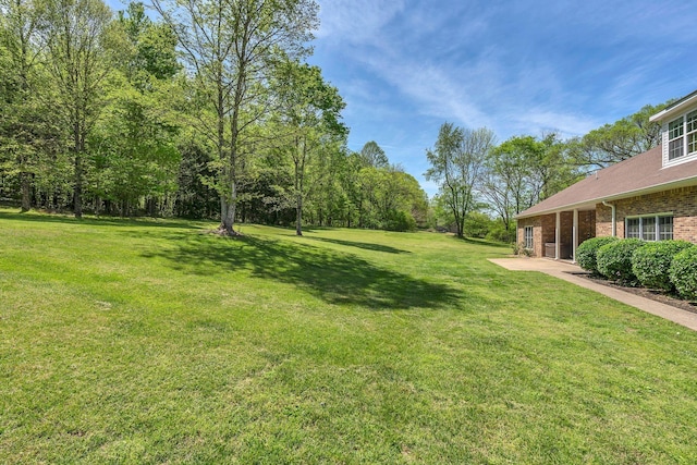 2600 Little Bartons Creek Rd, Cumberland Furnace, TN 37051 - view of green lawn featuring a patio area