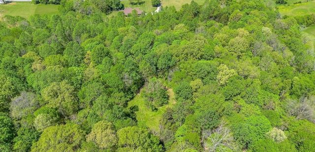 2600 Little Bartons Creek Rd, Cumberland Furnace, TN 37051 - aerial overview of property's location featuring a forest