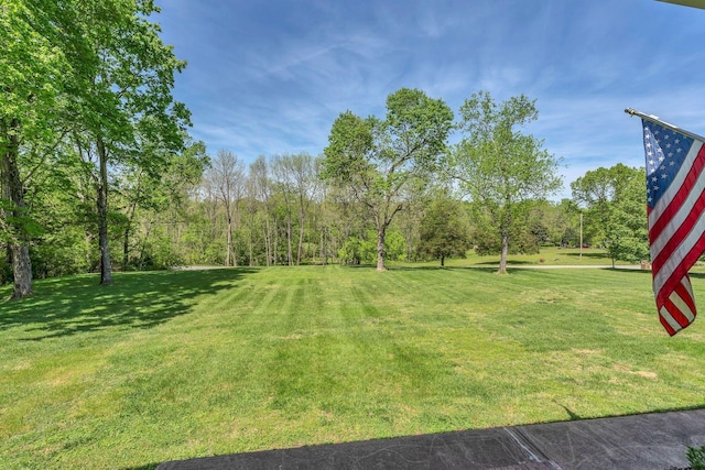 2600 Little Bartons Creek Rd, Cumberland Furnace, TN 37051 - view of grassy yard