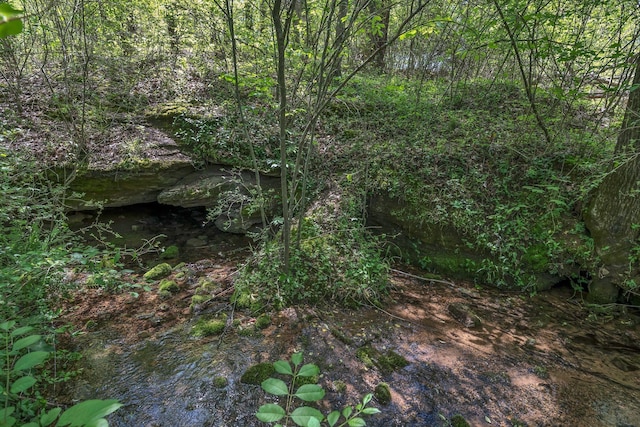 2600 Little Bartons Creek Rd, Cumberland Furnace, TN 37051 - view of undeveloped land