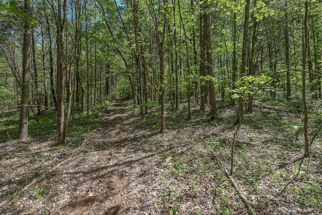 2600 Little Bartons Creek Rd, Cumberland Furnace, TN 37051 - view of wooded area