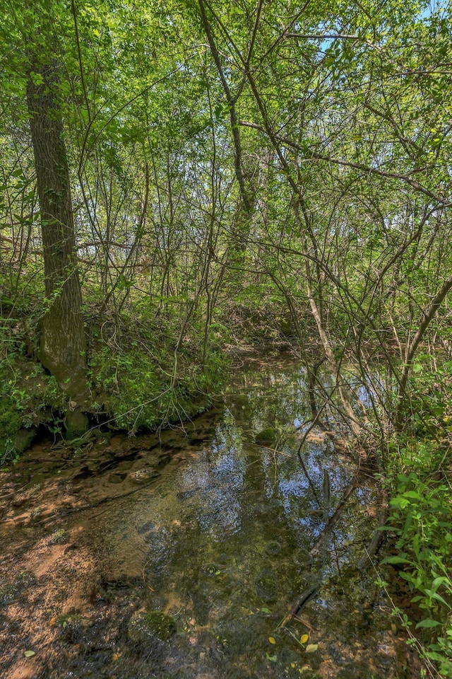 2600 Little Bartons Creek Rd, Cumberland Furnace, TN 37051 - view of nature