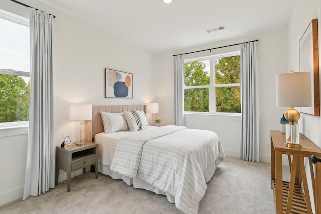 140 Valentine Aly, Nashville, TN 37218 - photo 71