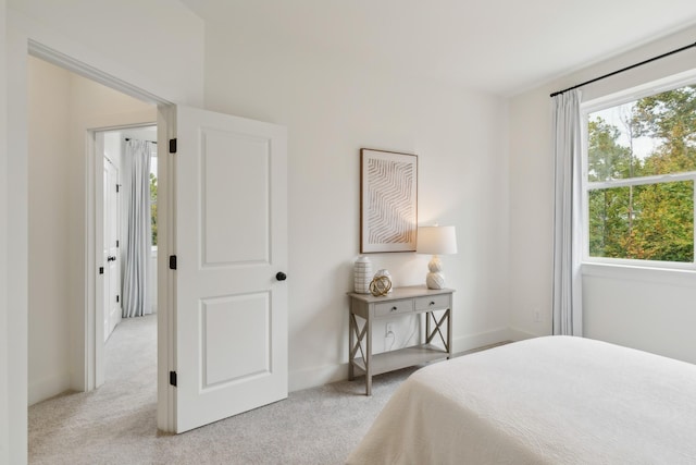 140 Valentine Aly, Nashville, TN 37218 - photo 69