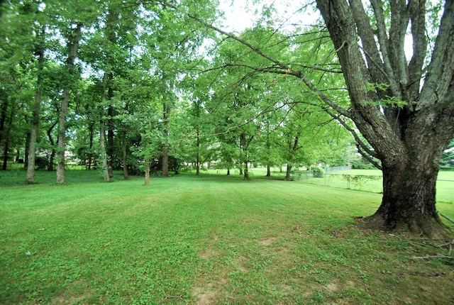 101 Laura Dr, White House, TN 37188 - photo 2