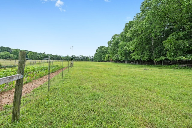 1550 Beech Bottom Rd, Watertown, TN 37184 - view of yard featuring a view of rural / pastoral area