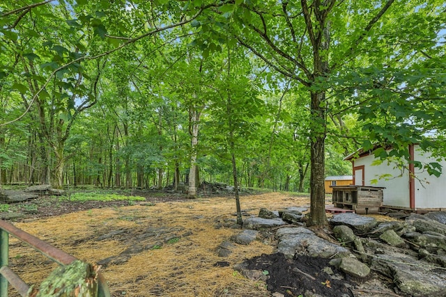 1550 Beech Bottom Rd, Watertown, TN 37184 - view of yard with a view of trees