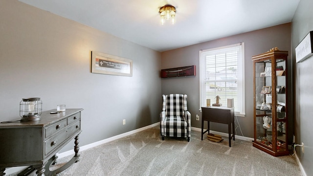 387 Caldwell Dr, Goodlettsville, TN 37072 - photo 20