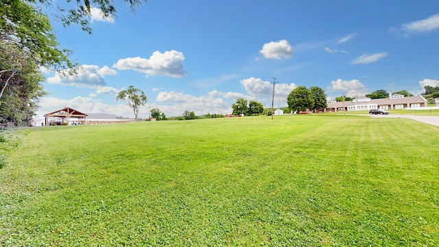387 Caldwell Dr, Goodlettsville, TN 37072 - photo 34