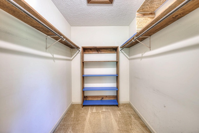 2010 Hartland Rd, Franklin, TN 37069 - walk in closet with carpet flooring