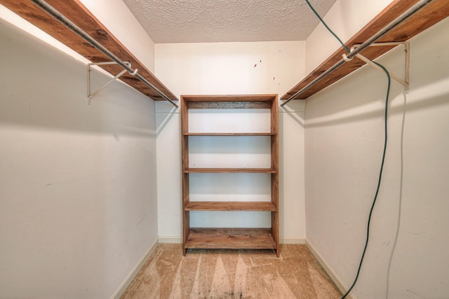 2010 Hartland Rd, Franklin, TN 37069 - walk in closet with carpet
