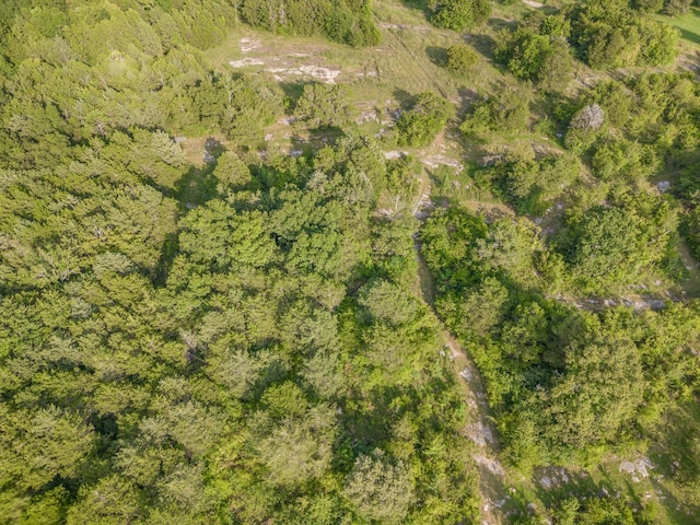 195 Spring Creek Ln, Lebanon, TN 37090 - aerial view of property and surrounding area