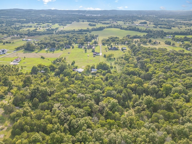 195 Spring Creek Ln, Lebanon, TN 37090 - view of rural area