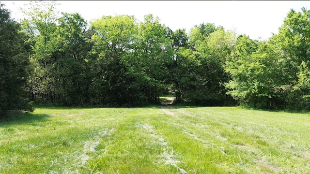 398 Beasleys Bend Rd, Lebanon, TN 37087 - view of green lawn