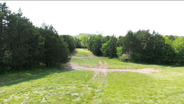 398 Beasleys Bend Rd, Lebanon, TN 37087 - view of green lawn