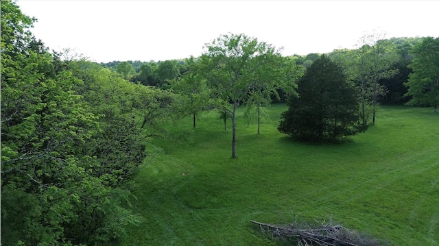 398 Beasleys Bend Rd, Lebanon, TN 37087 - view of local wilderness