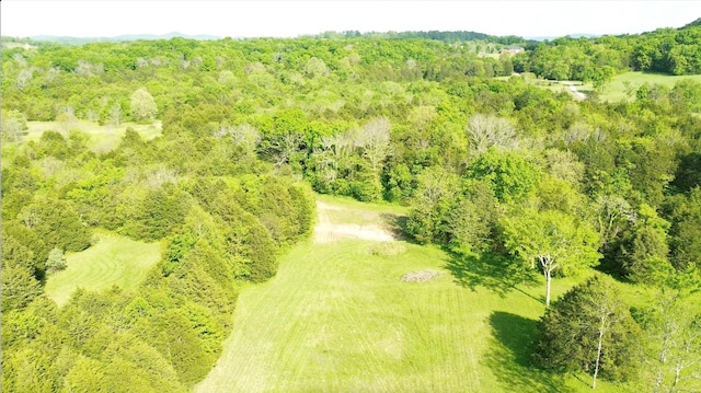 398 Beasleys Bend Rd, Lebanon, TN 37087 - bird's eye view of a forest