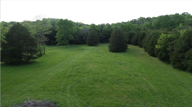 398 Beasleys Bend Rd, Lebanon, TN 37087 - view of yard