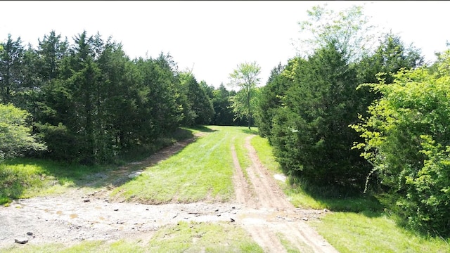 398 Beasleys Bend Rd, Lebanon, TN 37087 - view of dirt / gravel road