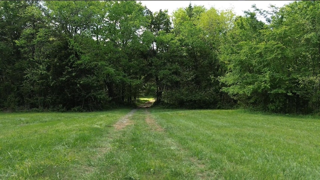 398 Beasleys Bend Rd, Lebanon, TN 37087 - view of yard with a forest view
