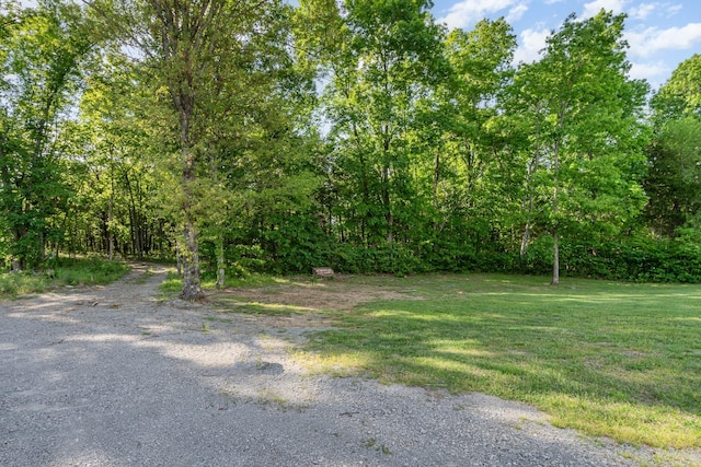 398 Beasleys Bend Rd, Lebanon, TN 37087 - view of green lawn featuring a view of trees
