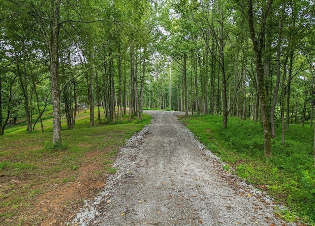0 Flippen Rd, Lebanon, TN 37087