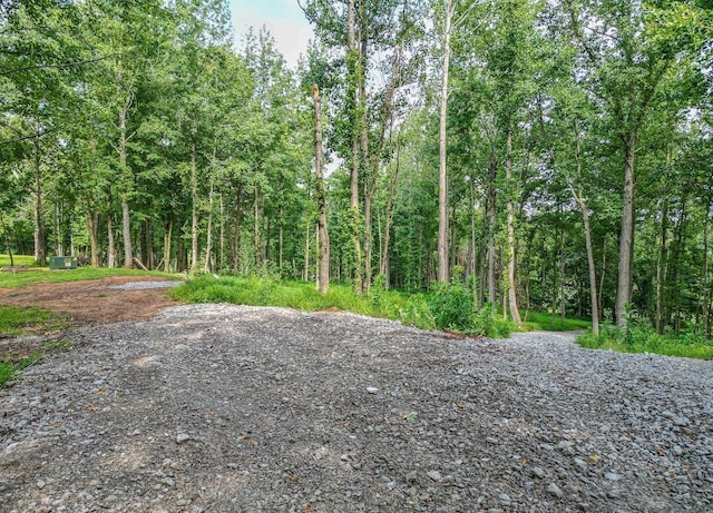 0 Flippen Rd, Lebanon, TN 37087