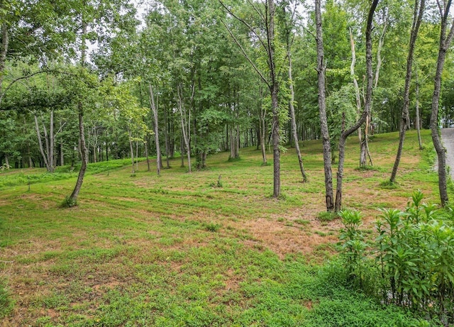 0 Flippen Rd, Lebanon, TN 37087