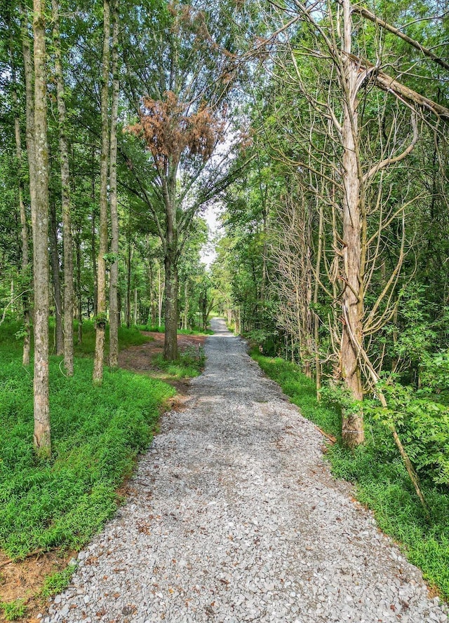 0 Flippen Rd, Lebanon, TN 37087