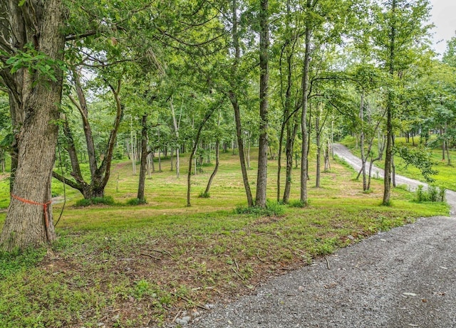 0 Flippen Rd, Lebanon, TN 37087