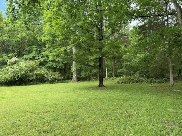 2306 Raspberry Ln, Lebanon, TN 37087 - view of green lawn with a view of trees