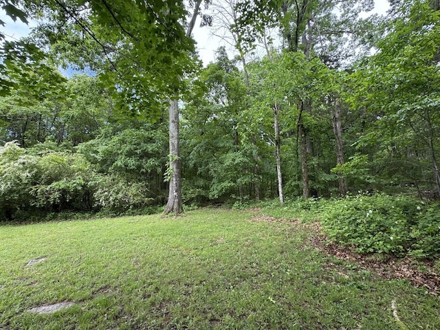 2306 Raspberry Ln, Lebanon, TN 37087 - view of green lawn featuring a wooded view