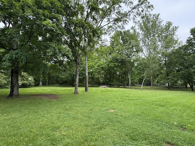 2306 Raspberry Ln, Lebanon, TN 37087 - view of grassy yard