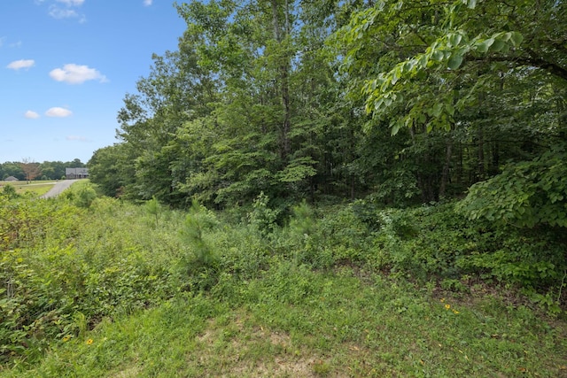 0 Englewood Dr, Waverly, TN 37185