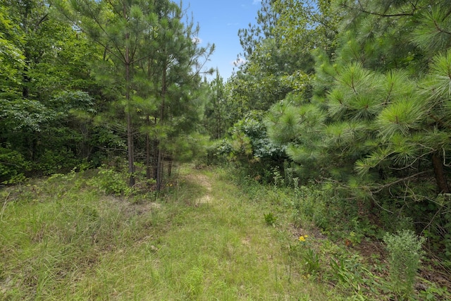 0 Englewood Dr, Waverly, TN 37185