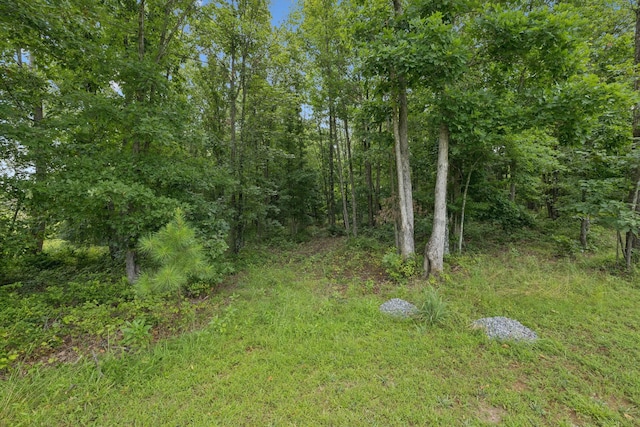 0 Englewood Dr, Waverly, TN 37185