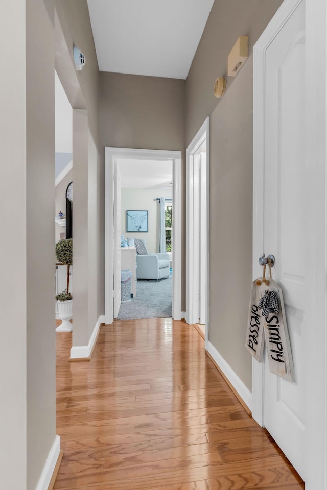 3420 Parkwood Ct, Hermitage, TN 37076 - photo 21