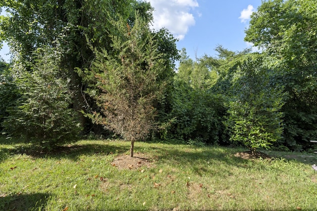 302 Williams Ave Unit 145, Madison, TN 37115 - photo 31