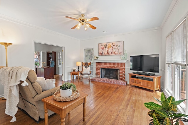 513 Foxcroft Cir, Franklin, TN 37067 - living room with plenty of natural light, ceiling fan, light wood finished floors, and crown molding